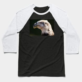 Bald Eagle portrait Baseball T-Shirt